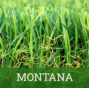 montana